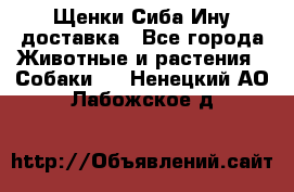 Щенки Сиба Ину доставка - Все города Животные и растения » Собаки   . Ненецкий АО,Лабожское д.